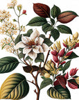 Organic Woody Fig Aromatherapy Perfume - Cloth + Cabin