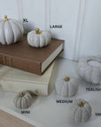 Concrete Pumpkins / White