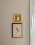 Bird Framed Antique Art