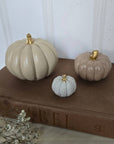Concrete Pumpkins / Cream