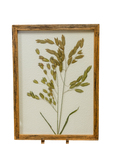 Pressed Greenery Botanical Wall Art
