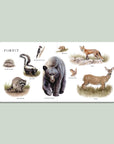 Our Big Book of Animals (Board Book)
