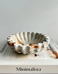 Kyma Concrete Scallop Bowl - Cloth + Cabin