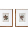 Feathered Nest Framed Print