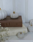 Concrete Pumpkins / White