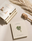 Our Little Adventures Board Book Box Set for Kids