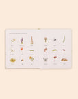 Our Little Adventures Board Book Box Set for Kids