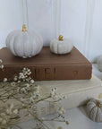 Concrete Pumpkins / White