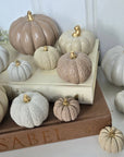 Concrete Pumpkins / Cream