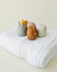 Animal Mold Free Silicone Bath Toy Set 