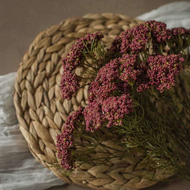 16" Burgundy Queen Anne Lace Bush - Cloth + Cabin
