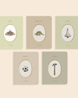 Our Little Library Vol. 3 (5 Board Book Set)