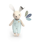 Rabbit Family