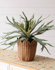 Scalloped Edge Rattan Round Basket - Cloth + Cabin