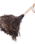 Natural Ostrich Feather Duster