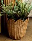 Scalloped Edge Rattan Round Basket - Cloth + Cabin