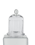 Crystal Clarity Glass Cloche